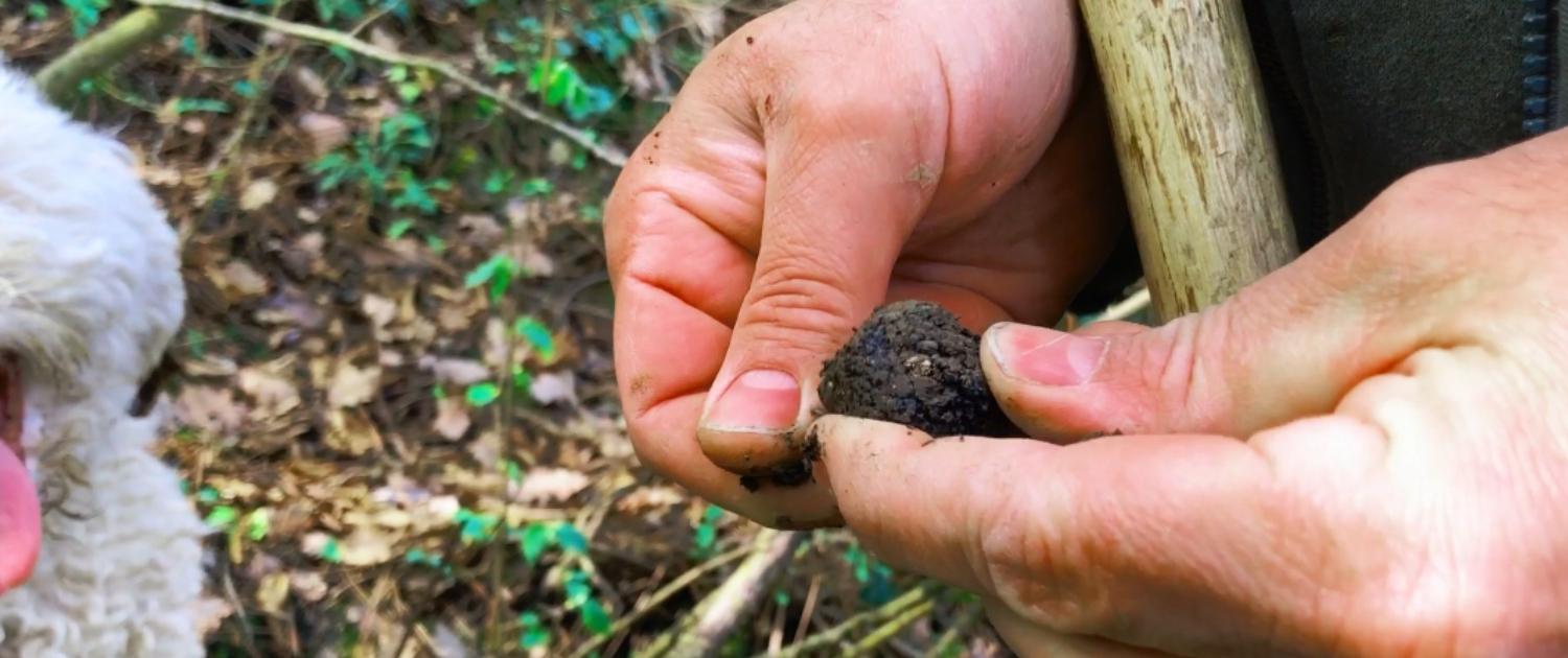short trip in Italy with truffle hunting
